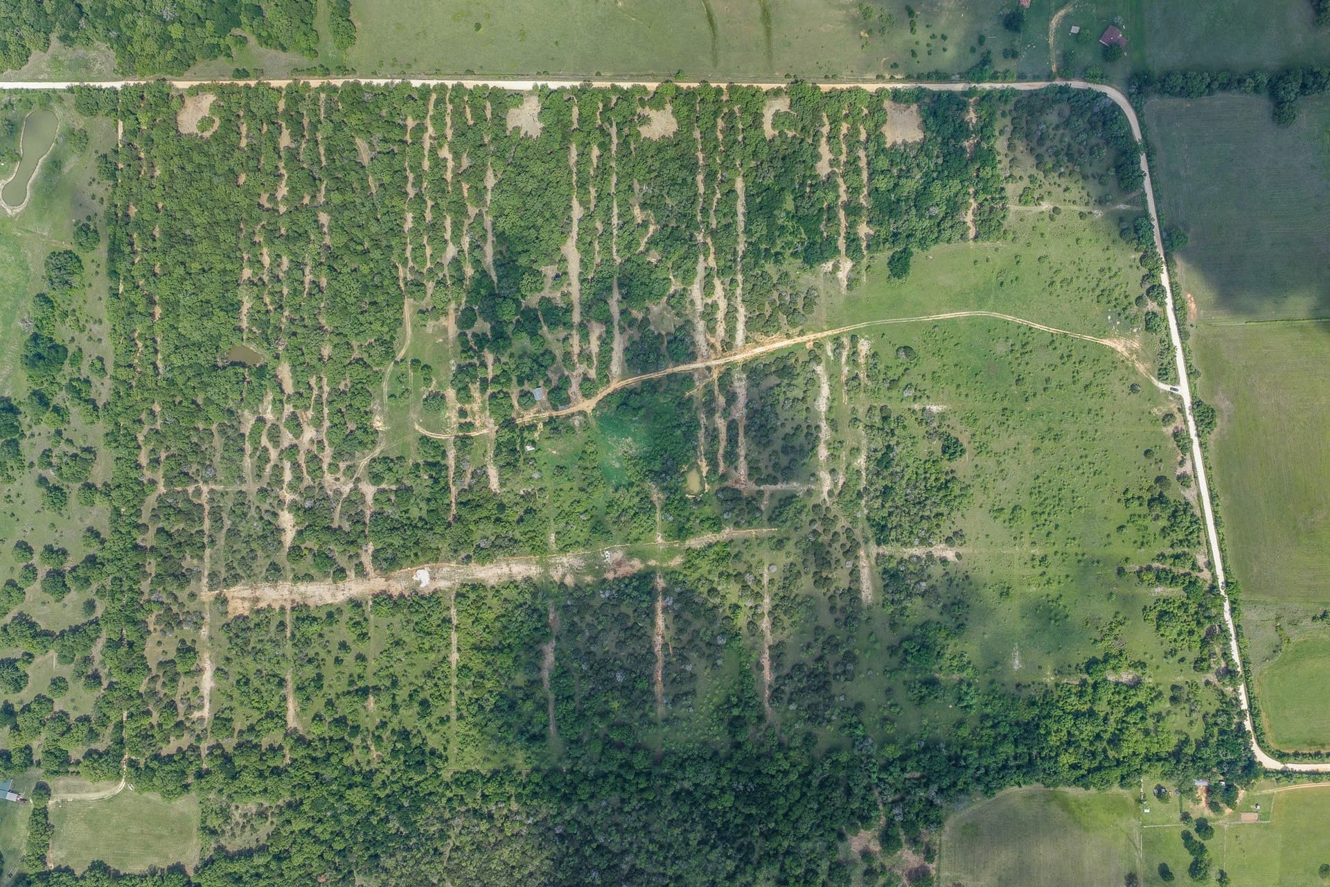 4.1 acres in Bosque County - photo 15