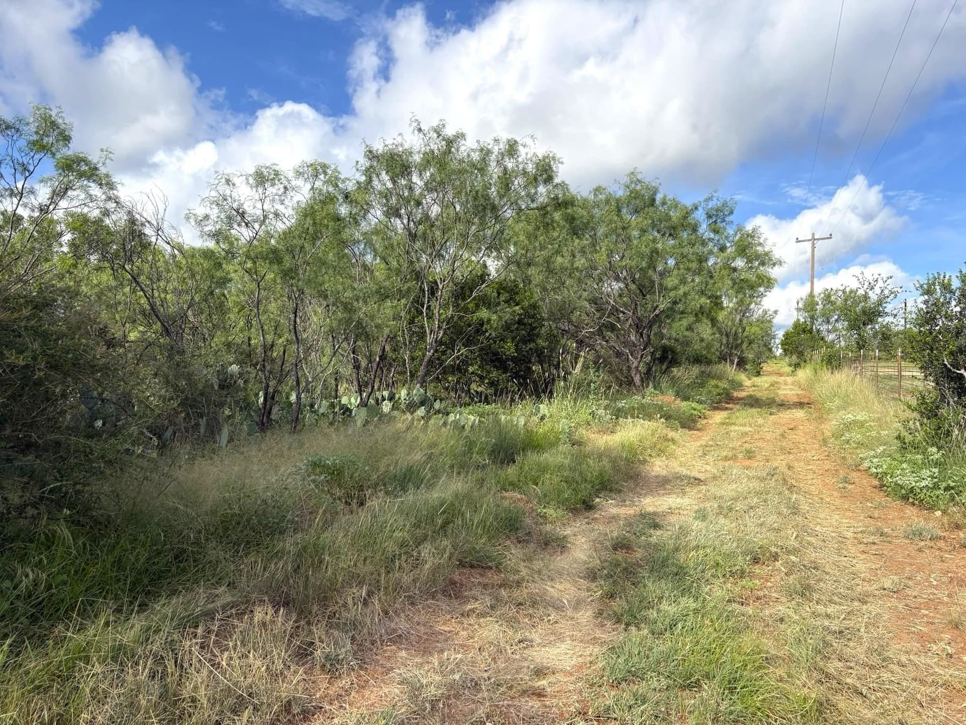 2.5 acres in Llano County gallery image 4