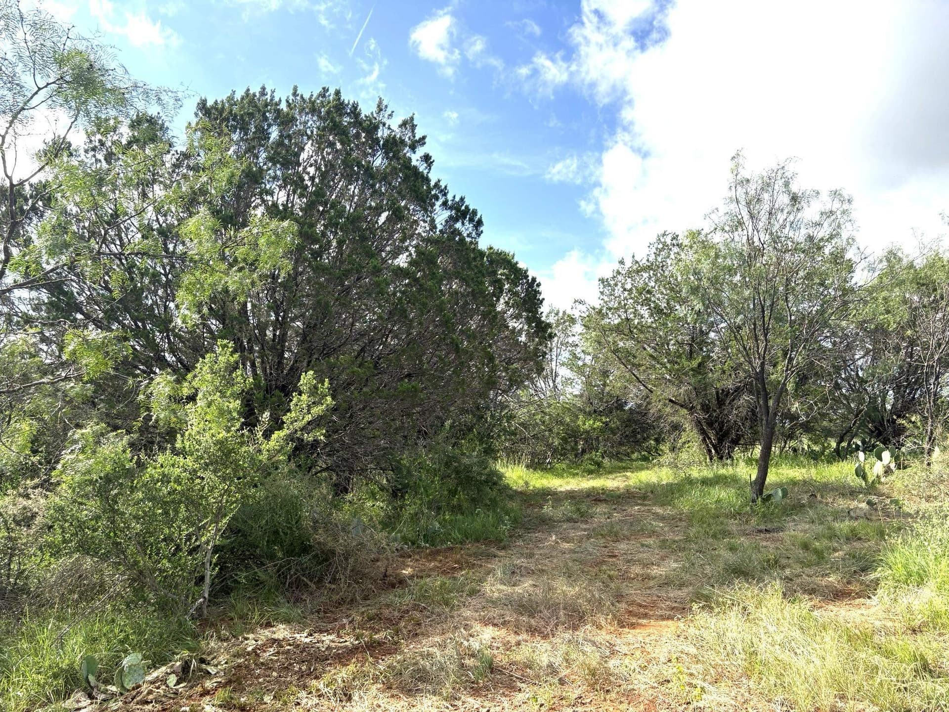 2.5 acres in Llano County - photo 10