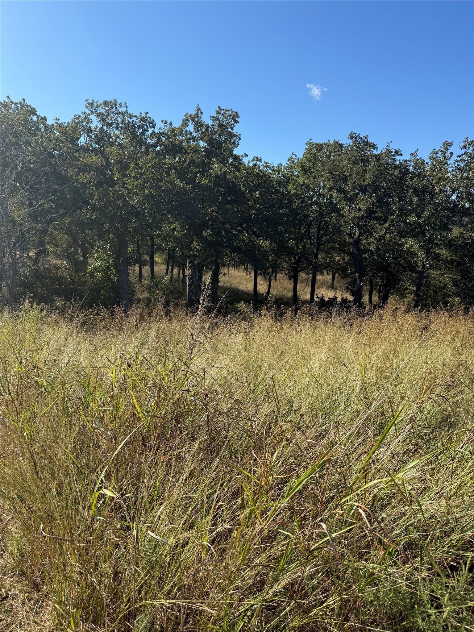 1 acres in Wise County - photo 3