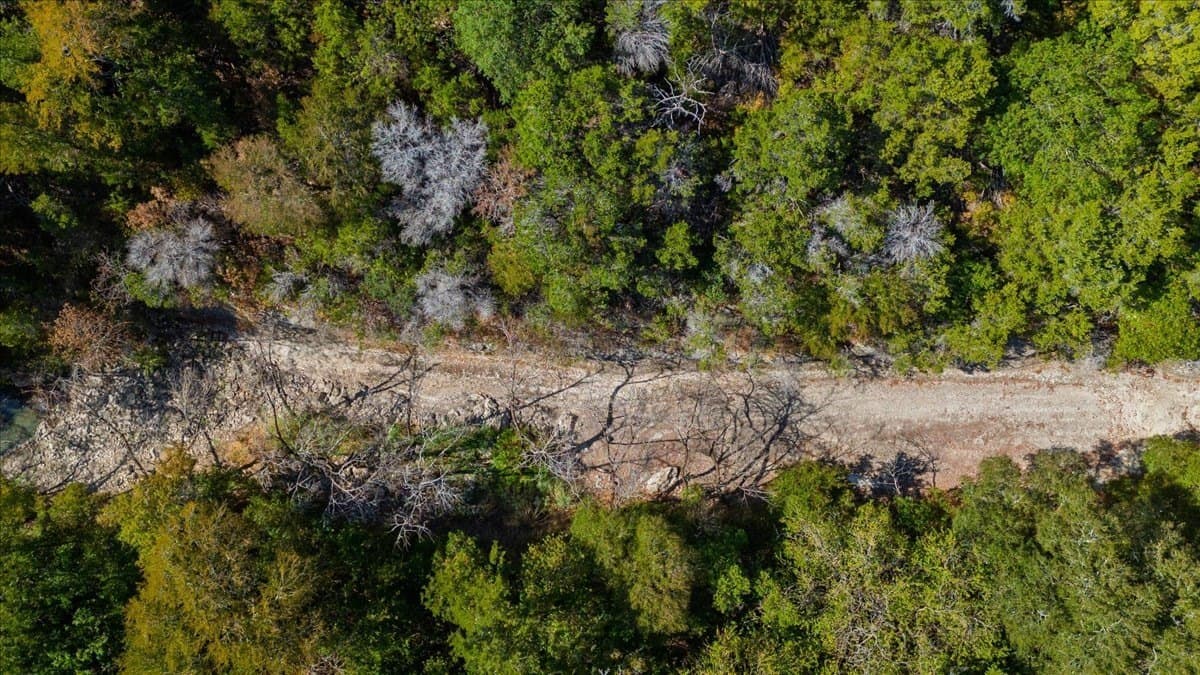 14.83 acres in Bosque County - photo 9