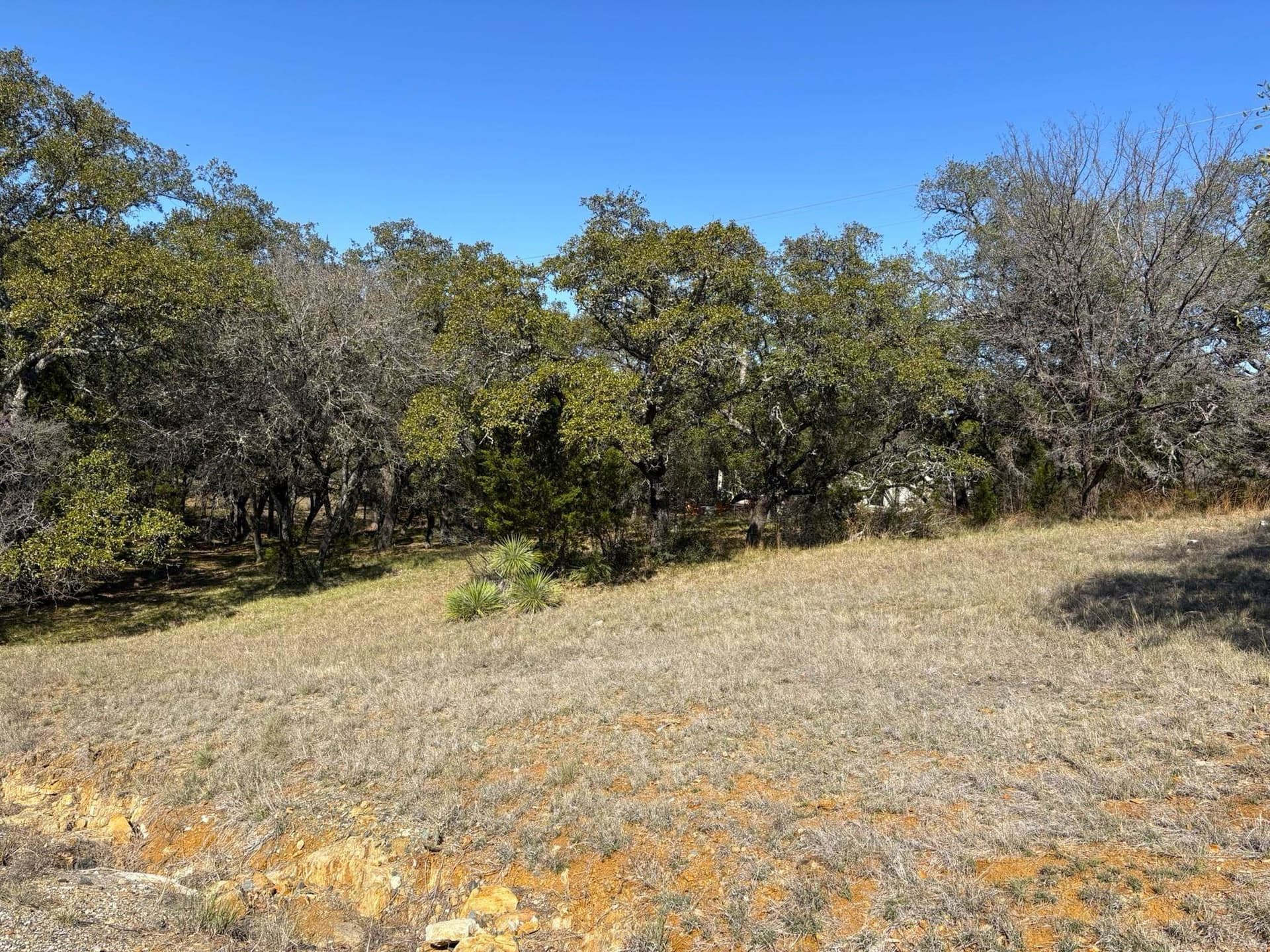 0.23 acres in Llano County gallery image 4