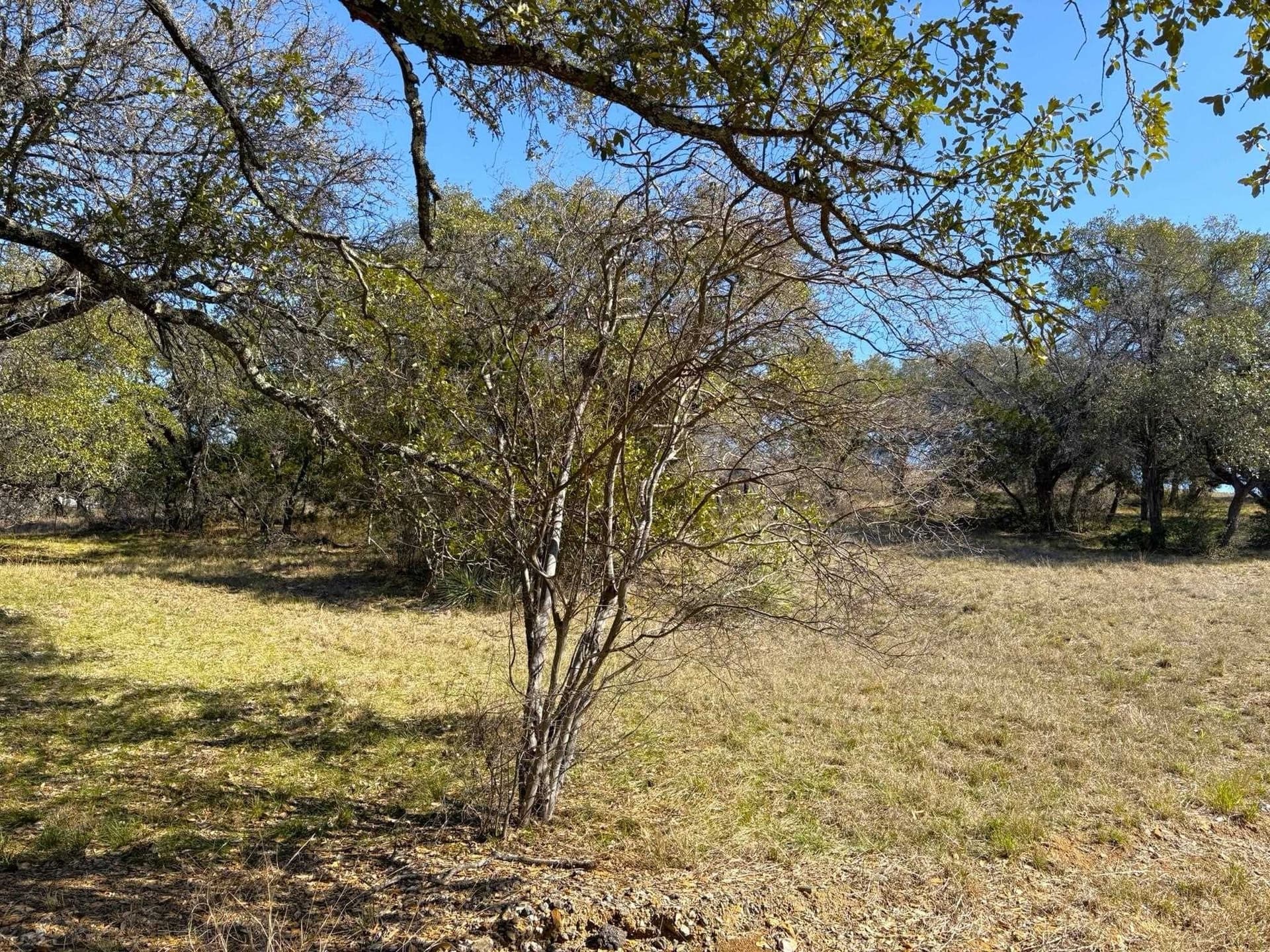 0.23 acres in Llano County featured view