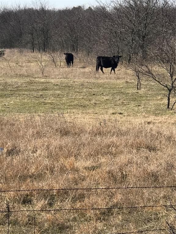 13.85 acres in Grayson County gallery image 2