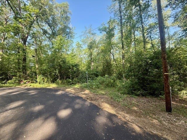 0.3 acres in Texas County gallery image 2