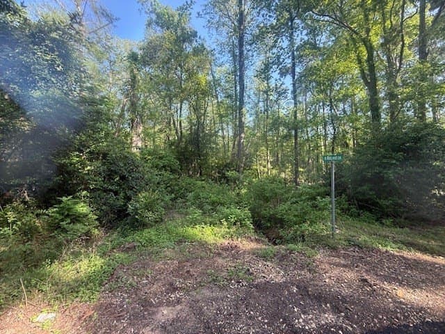 0.3 acres in Texas County gallery image 3