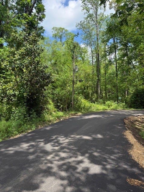 0.3 acres in Texas County gallery image 4