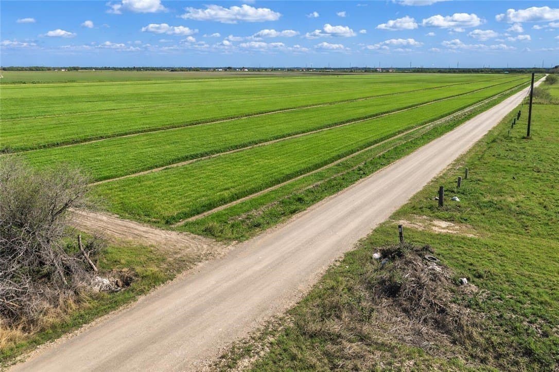 10 acres in Cameron County gallery image 4
