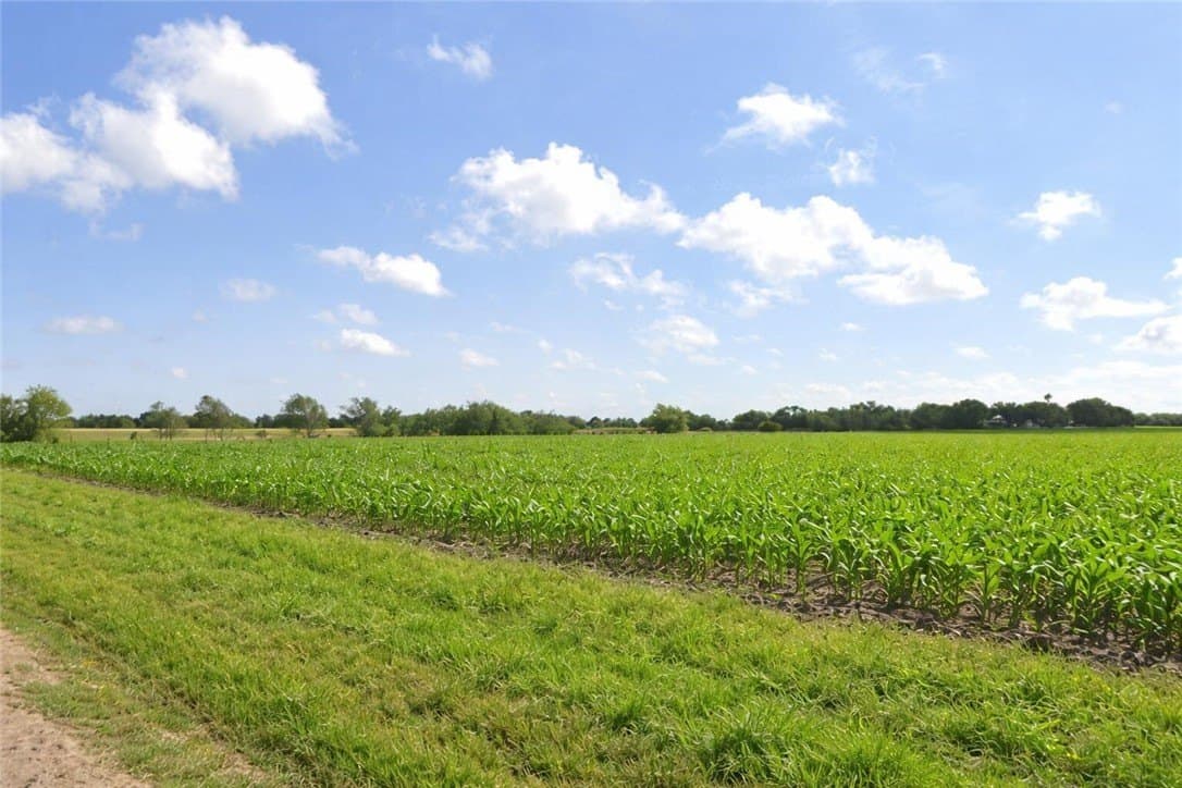 10 acres in Cameron County gallery image 2