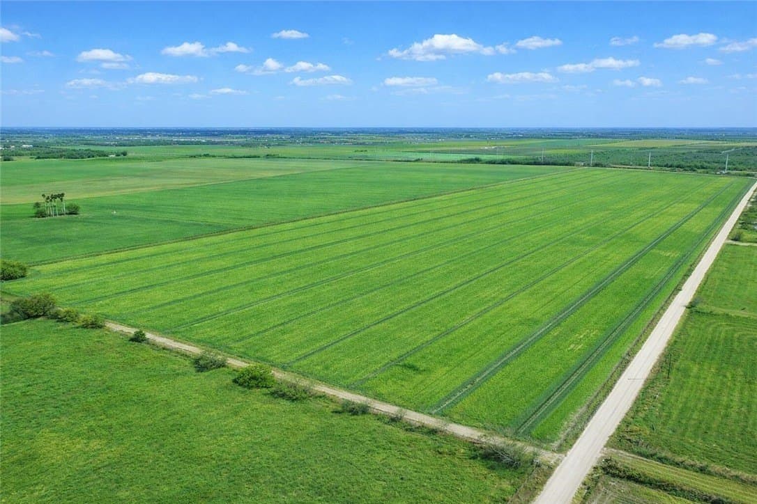 10 acres in Cameron County