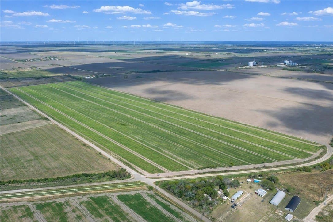 10 acres in Cameron County - photo 8