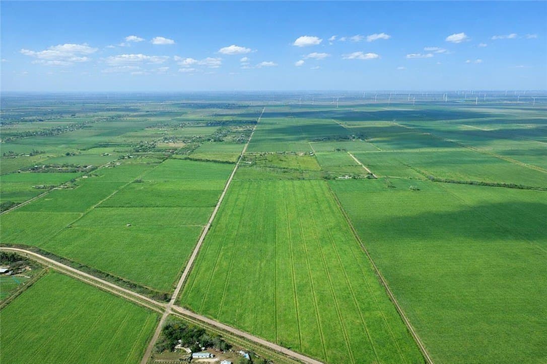 10 acres in Cameron County - photo 9