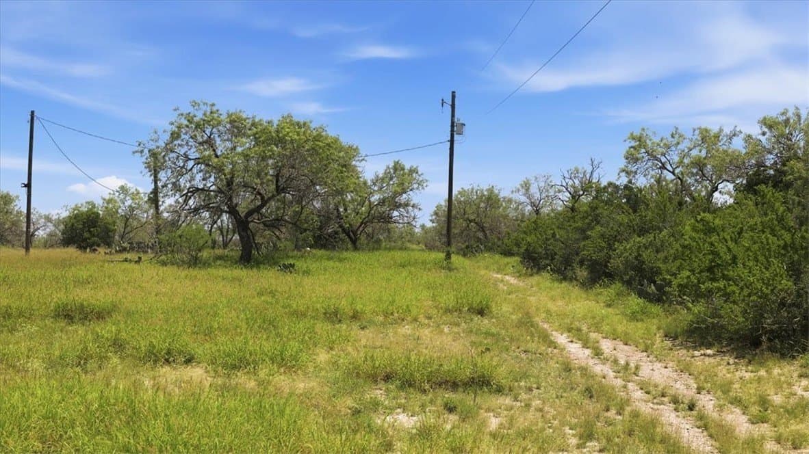 4.05 acres in Live Oak County featured view