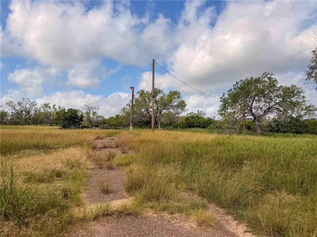 4.05 acres in Live Oak County gallery image 3