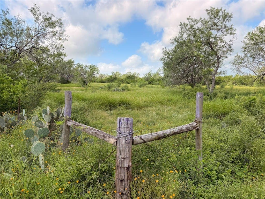 4.05 acres in Live Oak County gallery image 2