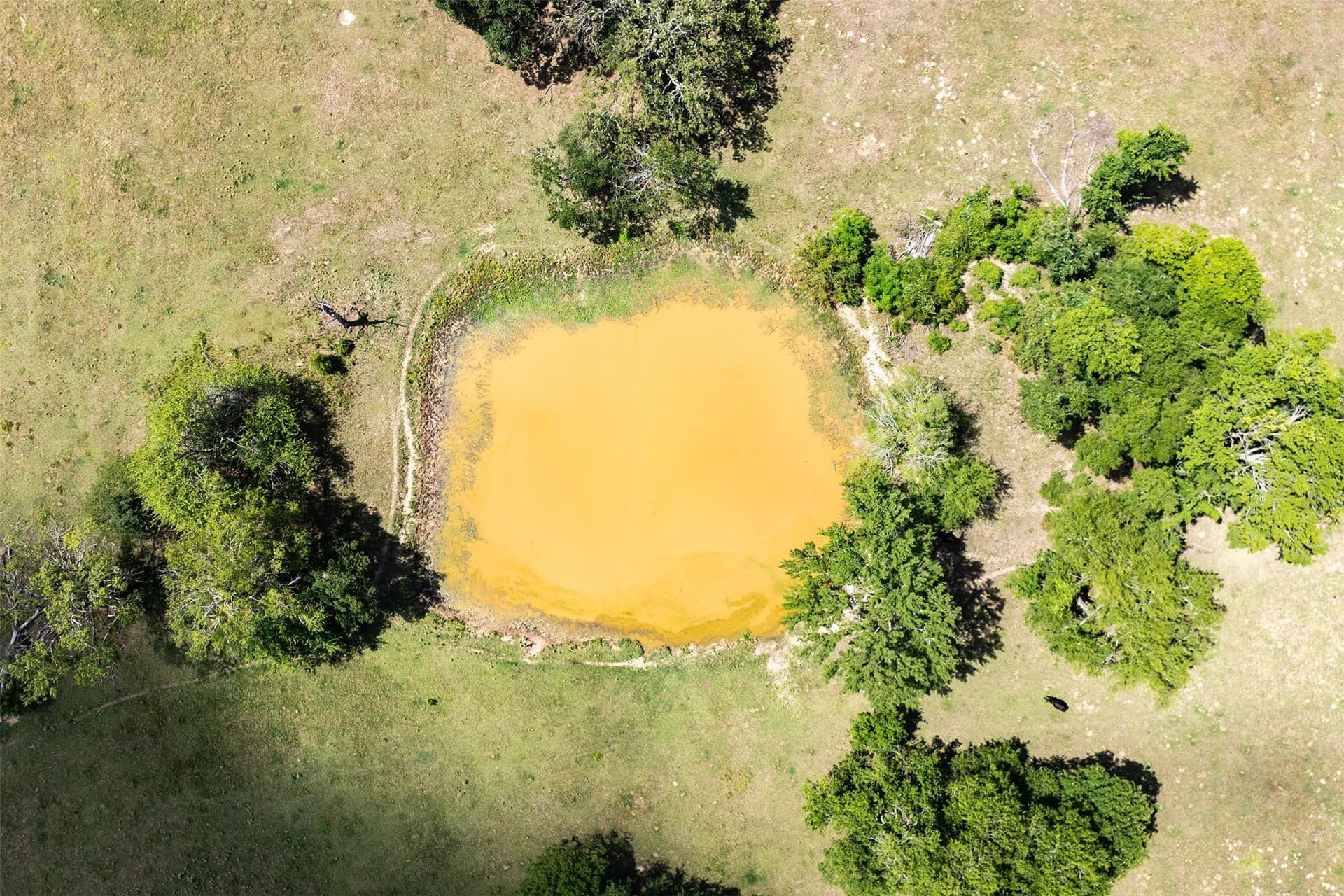 30 acres in Van Zandt County - photo 8