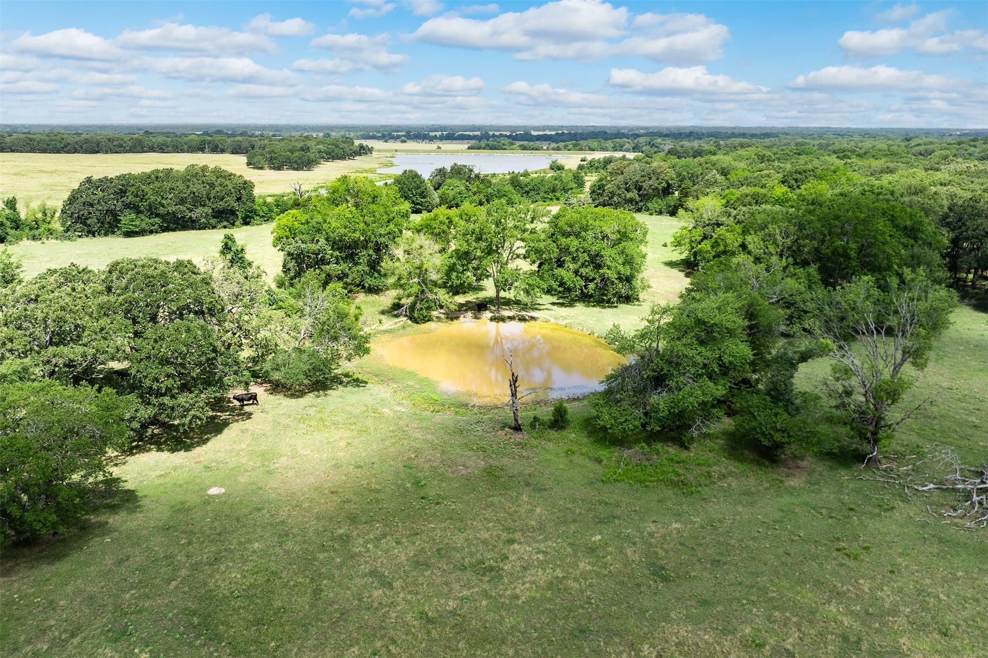 30 acres in Van Zandt County - photo 38
