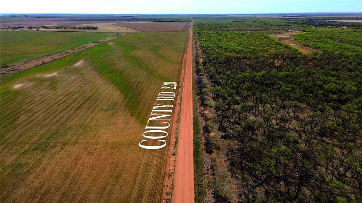 171.2 acres in Jones County gallery image 3