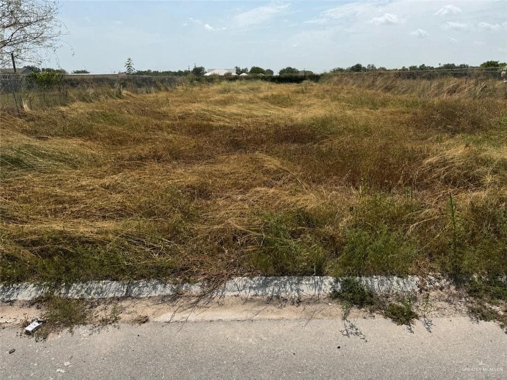 0.17 acres in Hidalgo County - photo 2