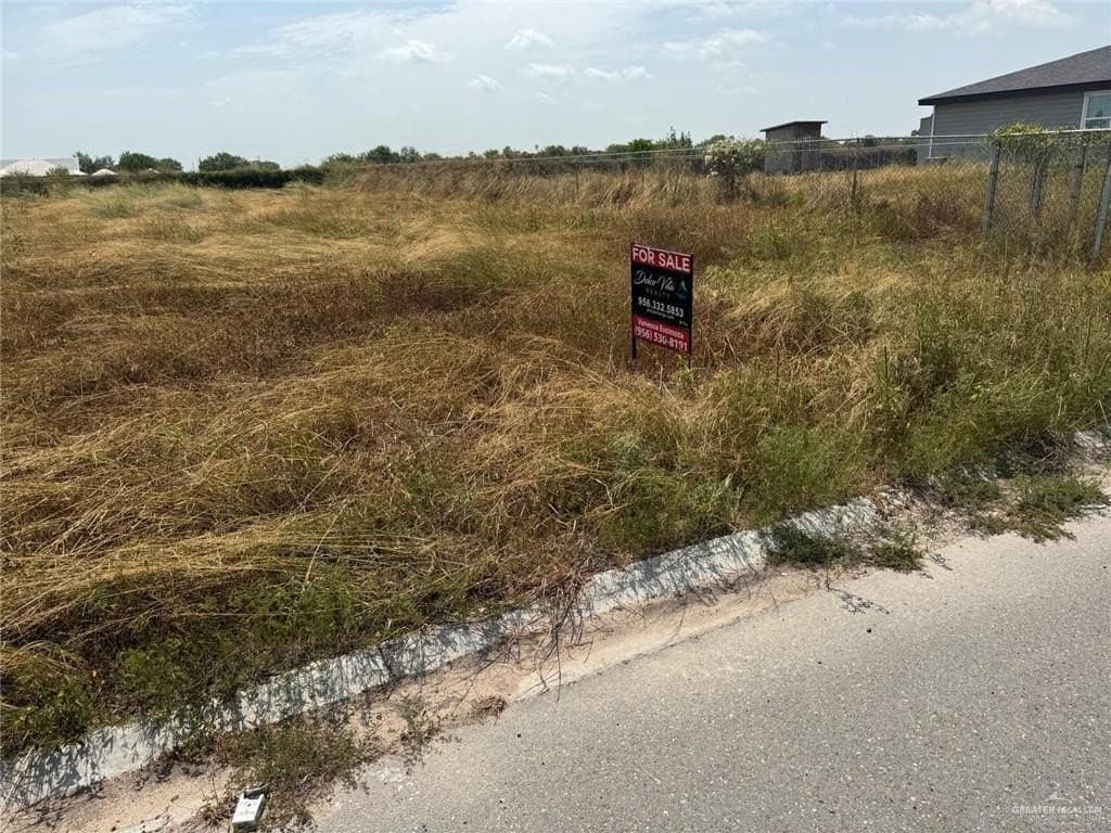 0.17 acres in Hidalgo County gallery image 2