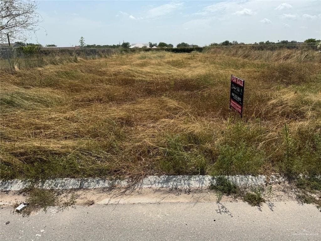 0.17 acres in Hidalgo County gallery image 3