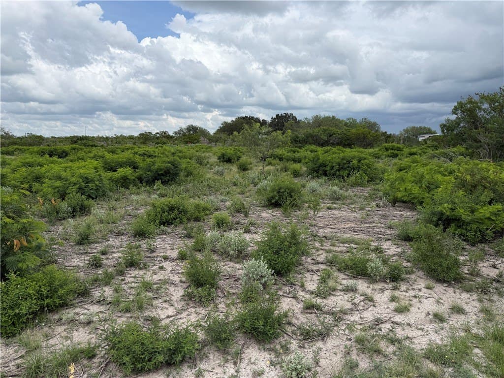 1.5 acres in Live Oak County featured view