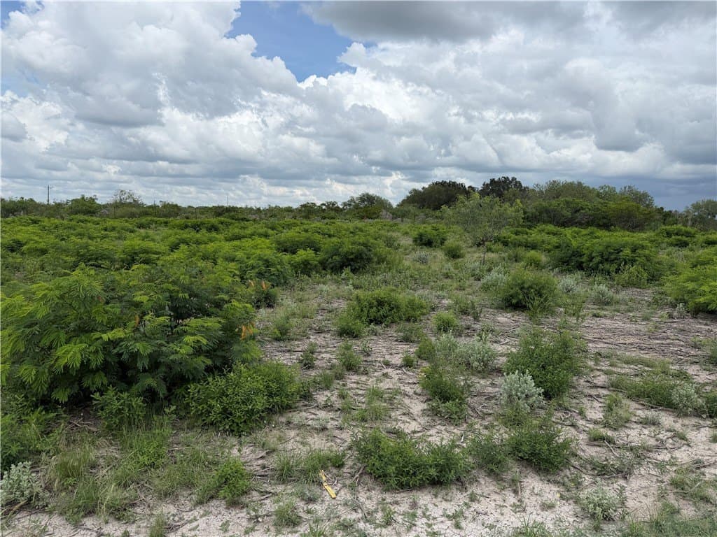 1.5 acres in Live Oak County gallery image 3