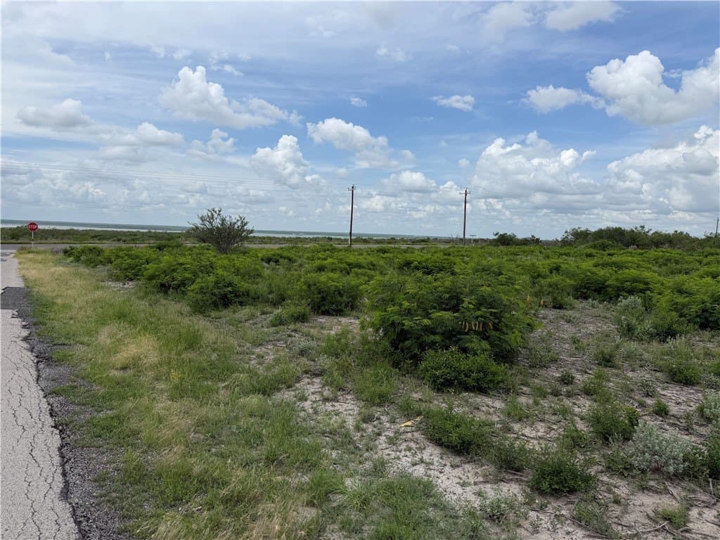 1.5 acres in Live Oak County gallery image 2