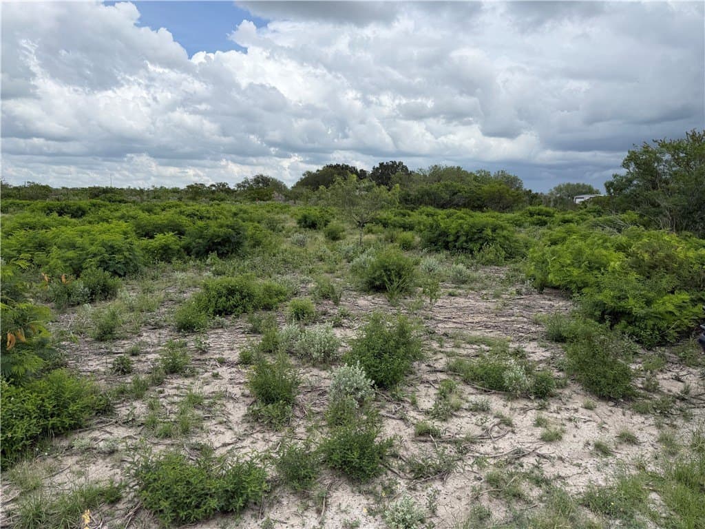 1.5 acres in Live Oak County gallery image 4