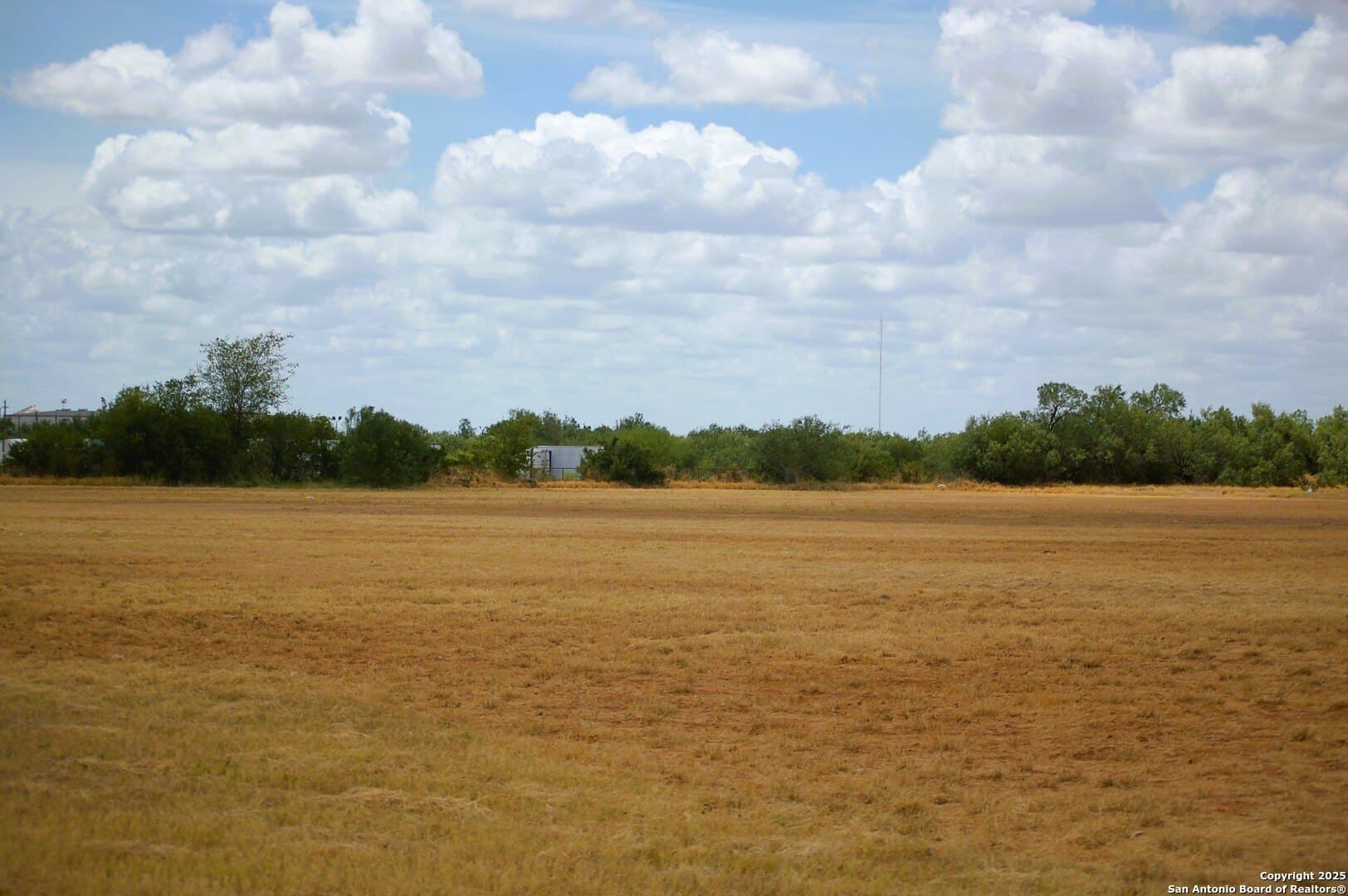 81 acres in Frio County - photo 38
