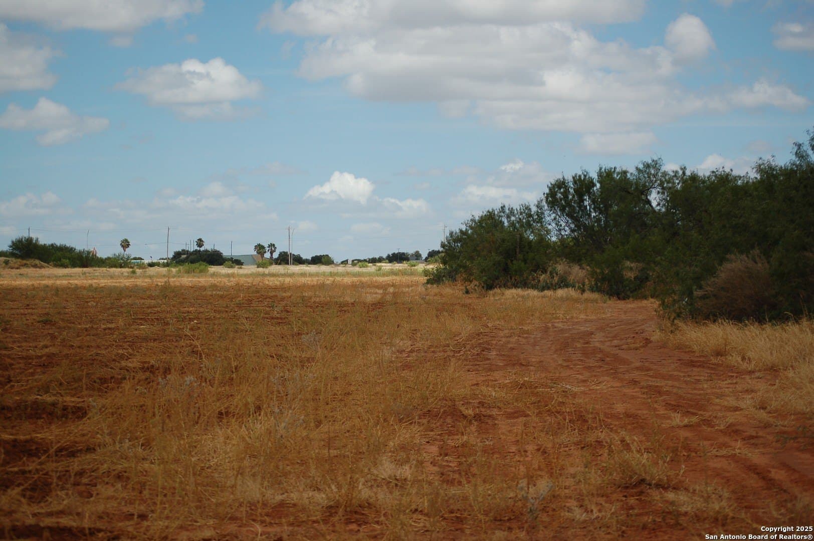 81 acres in Frio County - photo 29