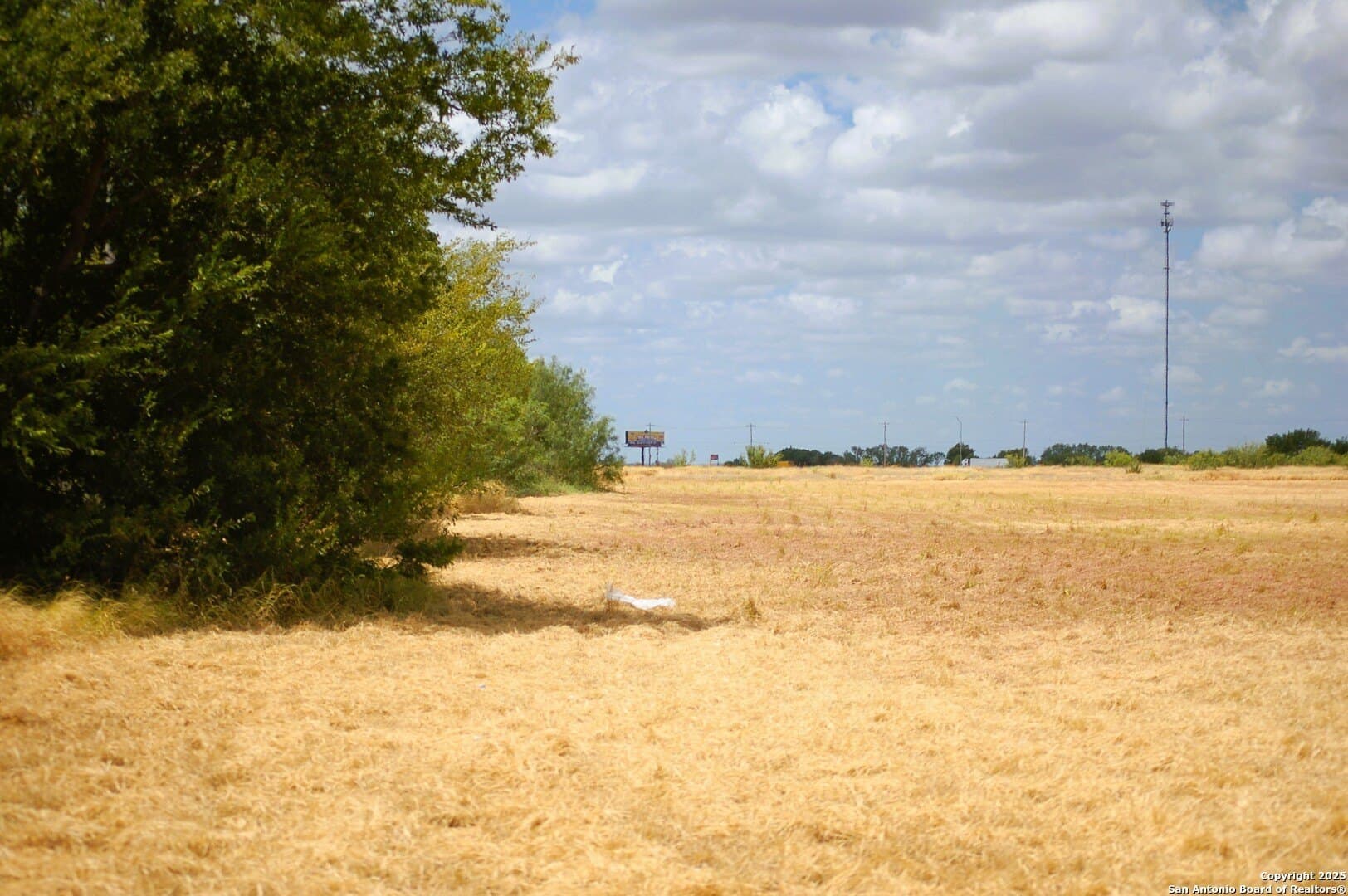 81 acres in Frio County - photo 34