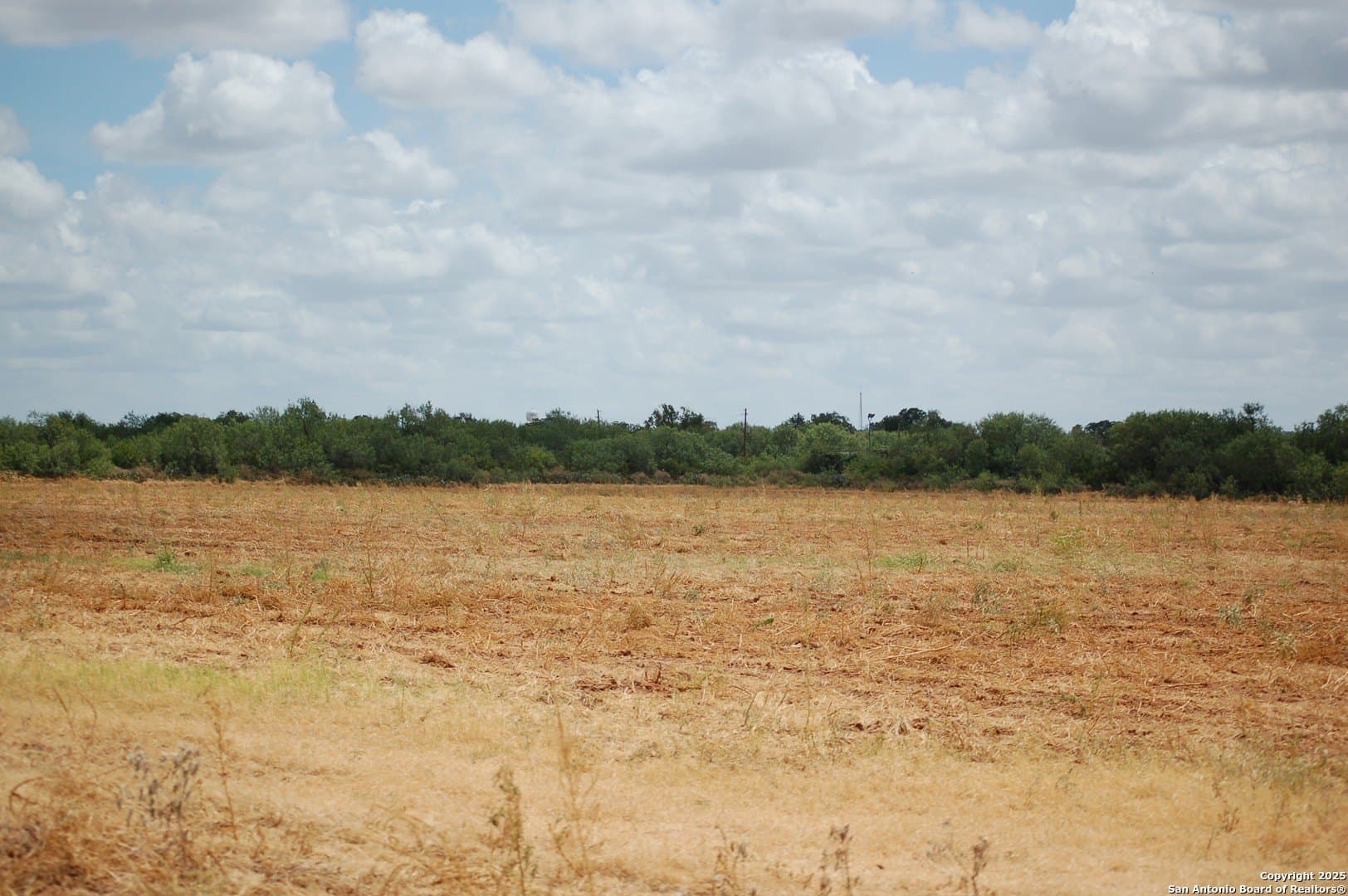 81 acres in Frio County - photo 23