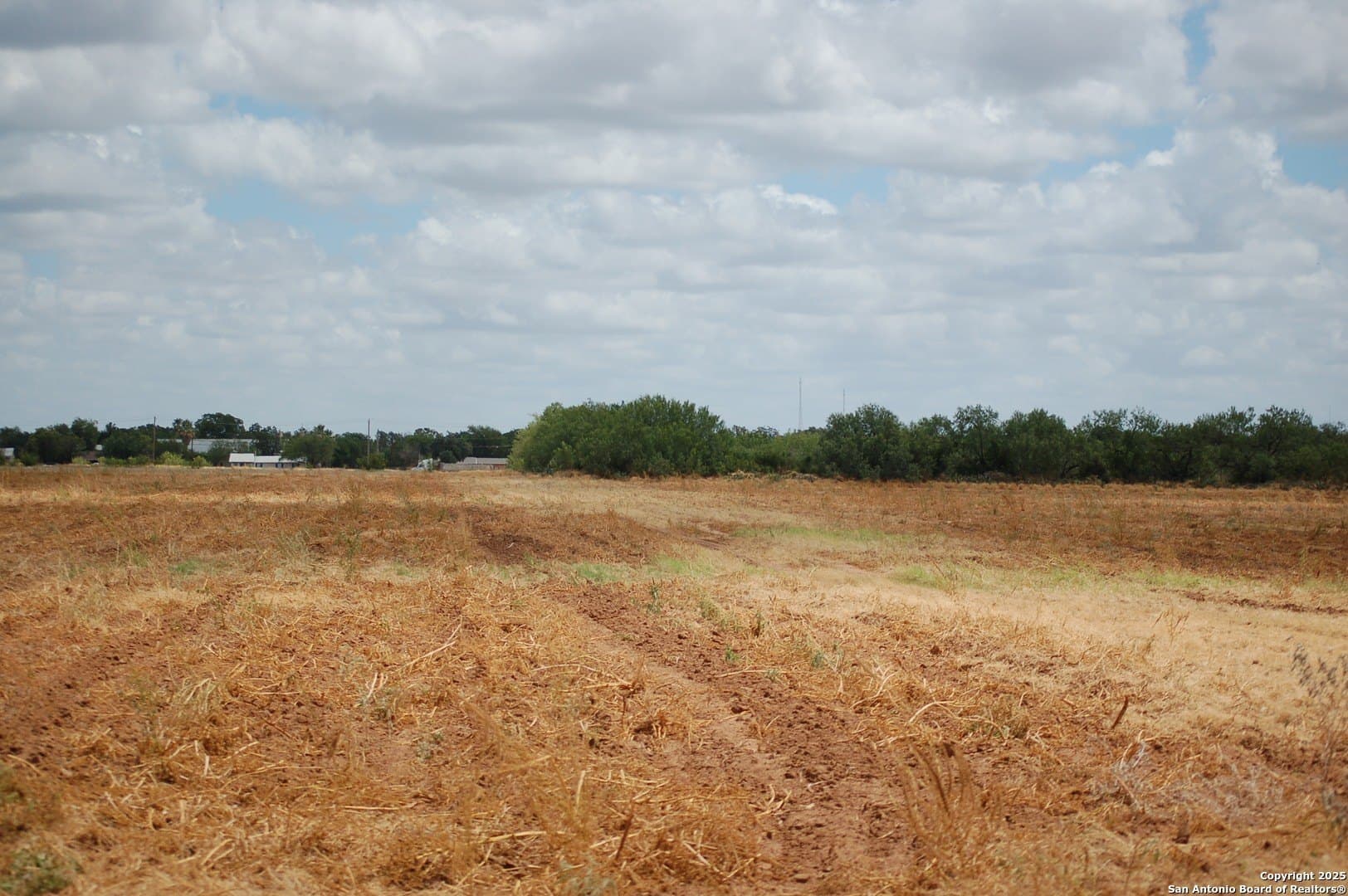 81 acres in Frio County - photo 22