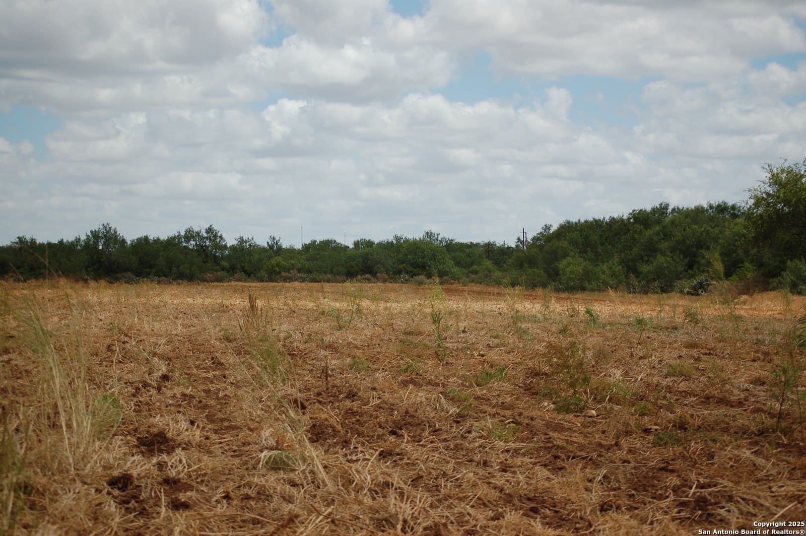 81 acres in Frio County - photo 26