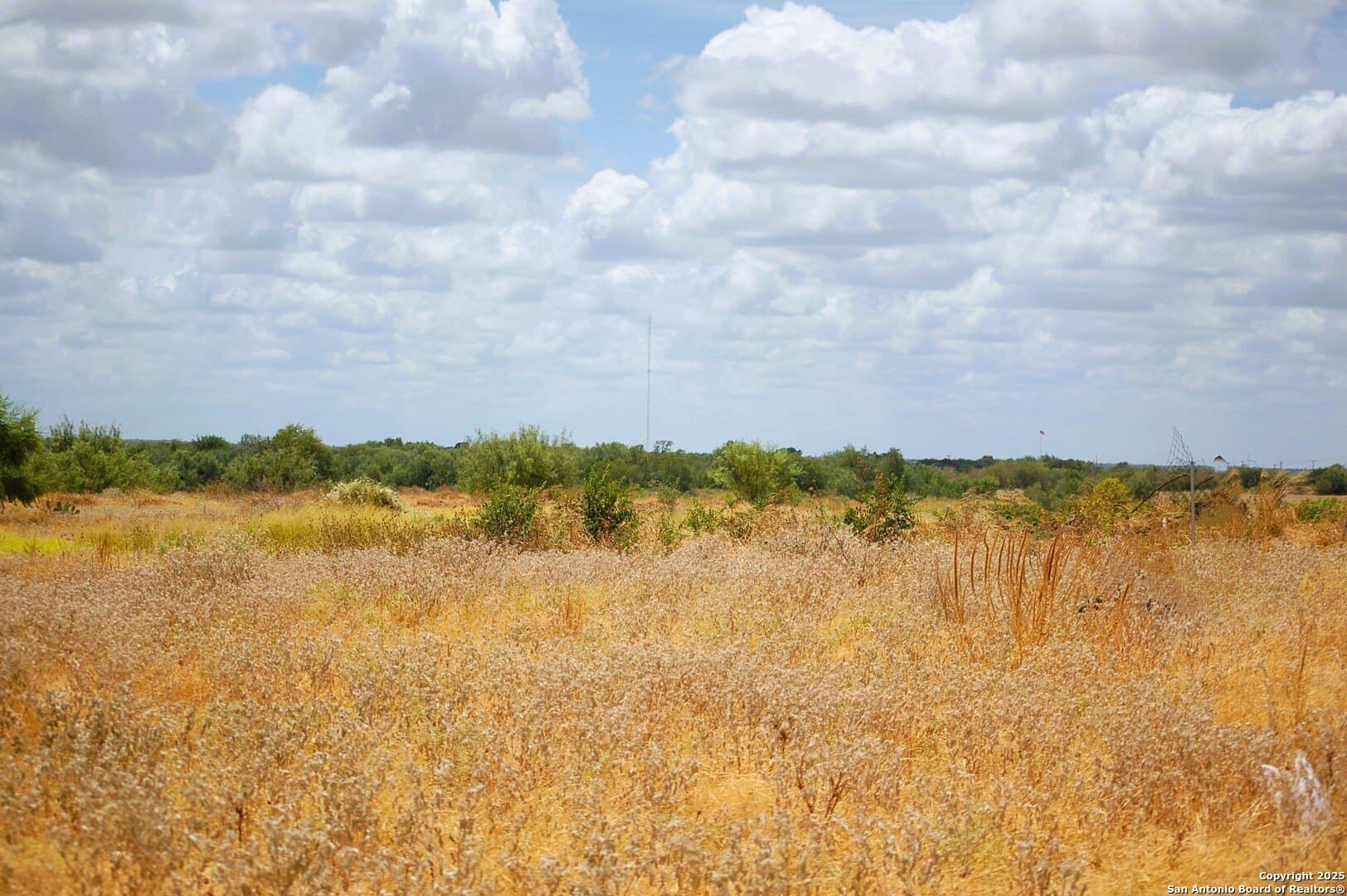 81 acres in Frio County - photo 44