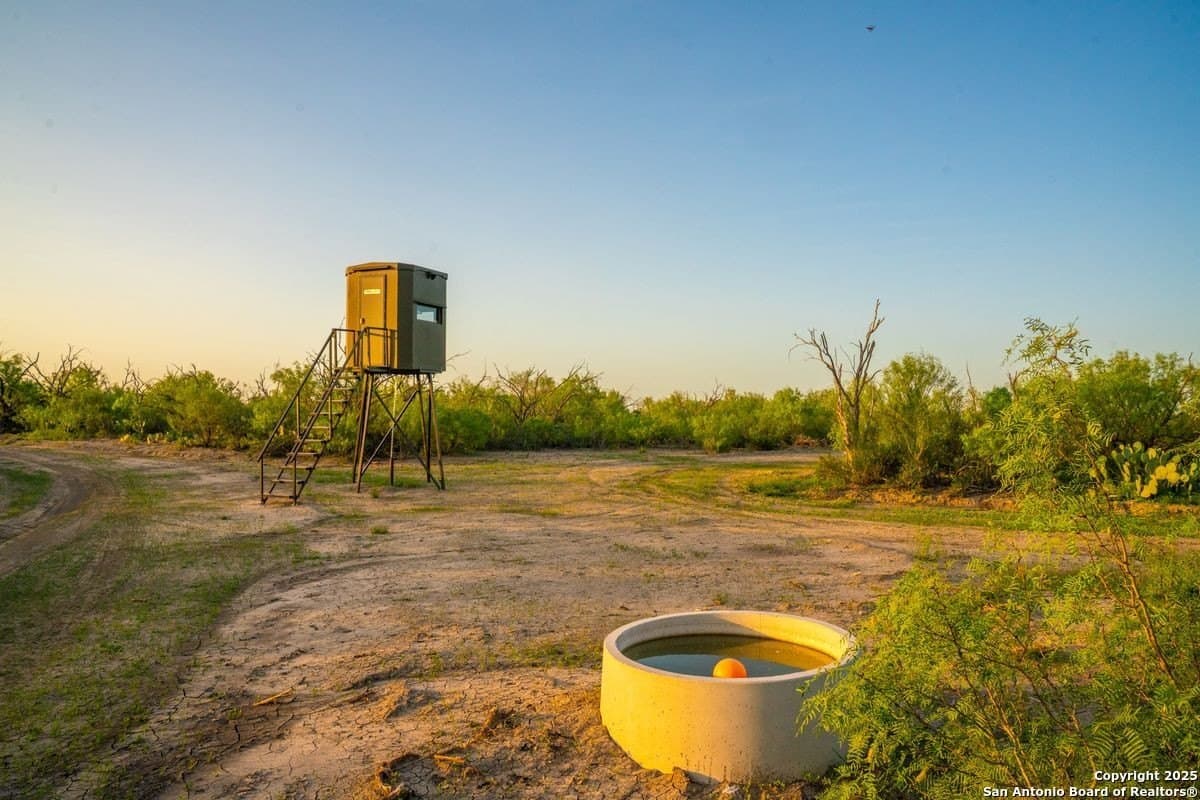 871.19 acres in Zavala County gallery image 4