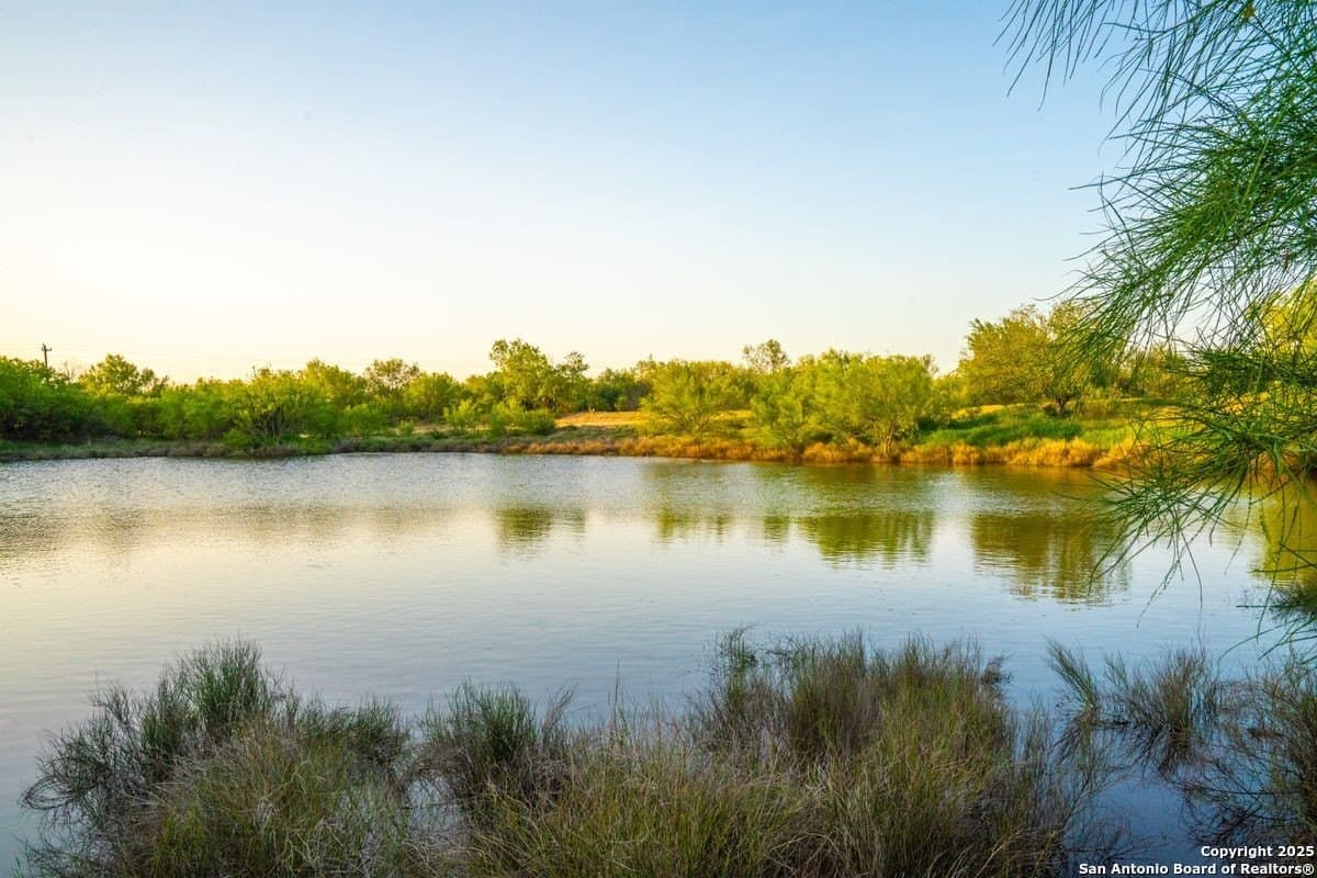 871.19 acres in Zavala County gallery image 3