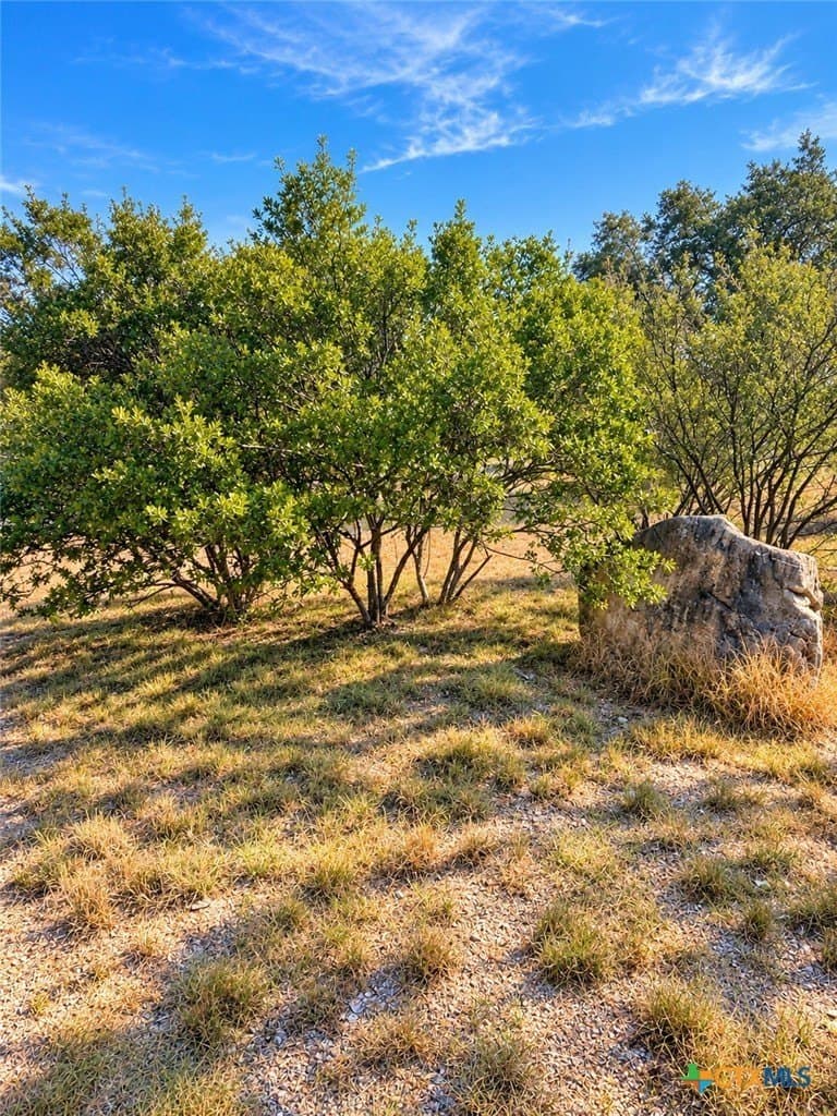 0.31 acres in Burnet County - photo 3