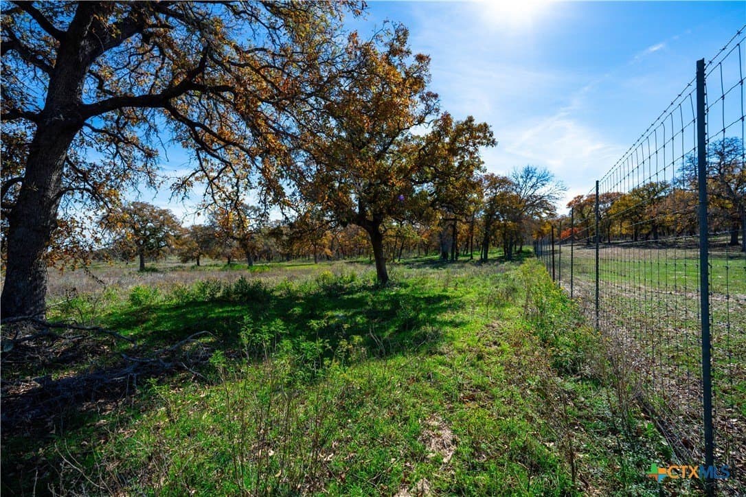 202 acres in Guadalupe County gallery image 2