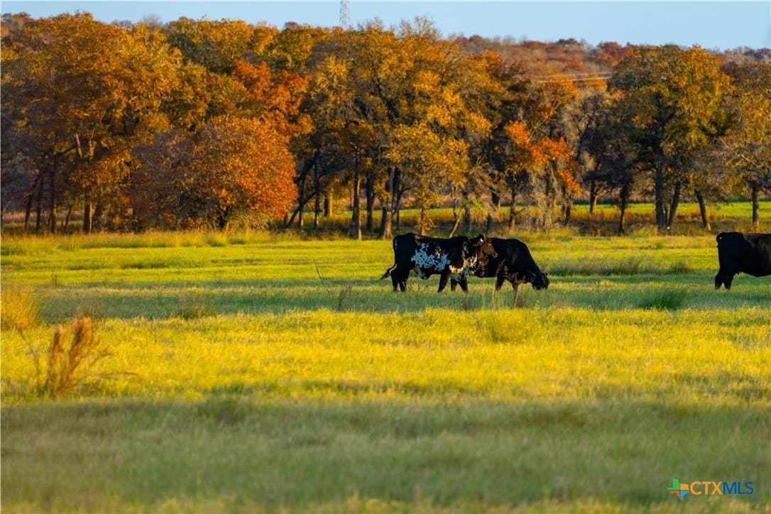 202 acres in Guadalupe County