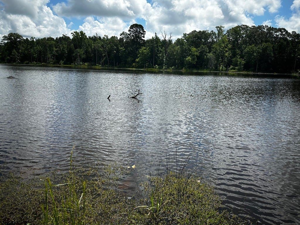 141.71 acres in ANDERSON County - photo 8