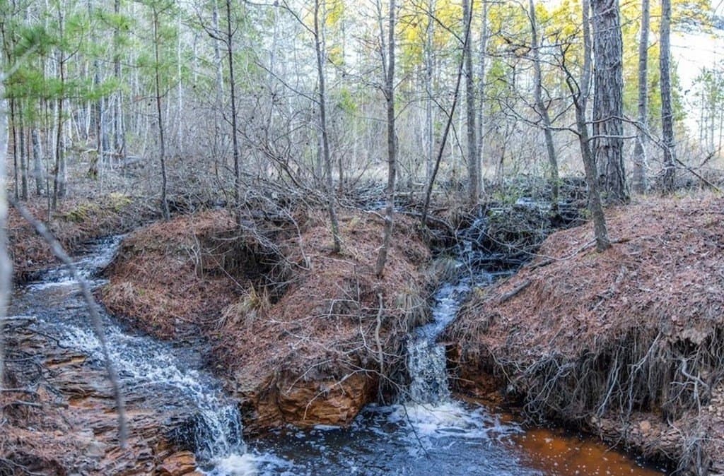 141.71 acres in ANDERSON County - photo 10