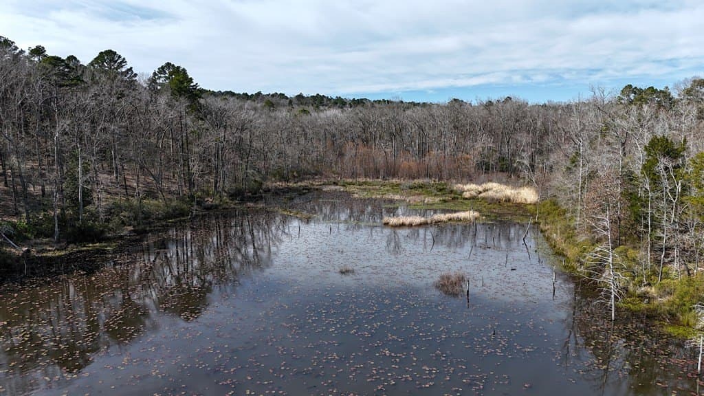 141.71 acres in ANDERSON County - photo 17