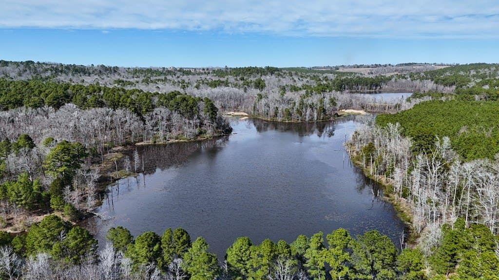 141.71 acres in ANDERSON County - photo 14