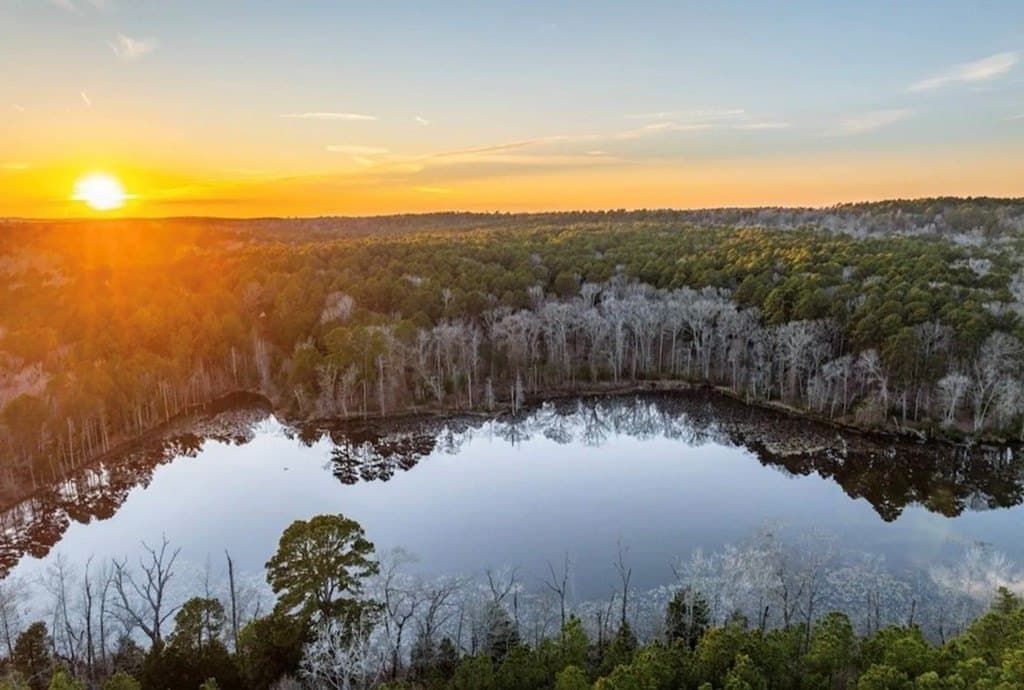 141.71 acres in ANDERSON County - photo 2