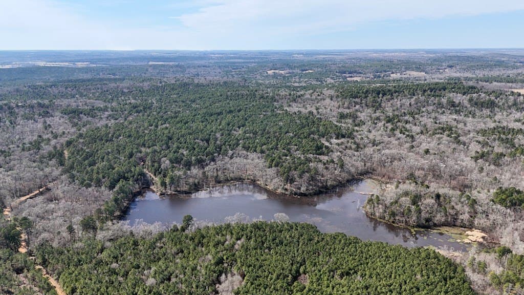 141.71 acres in ANDERSON County - photo 16