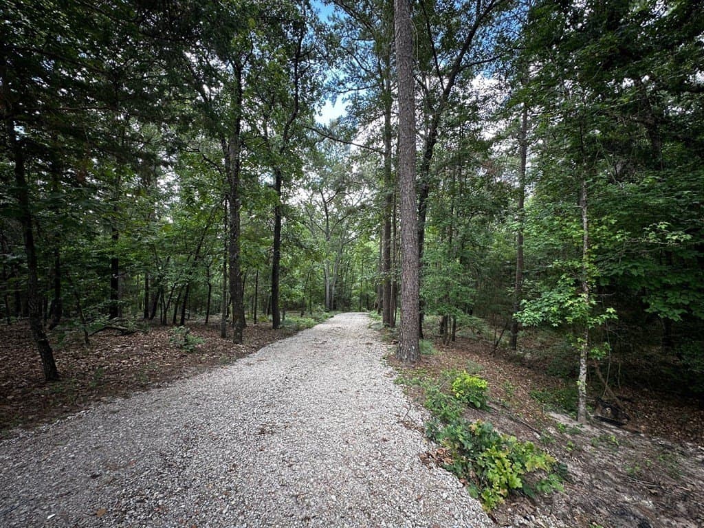 141.71 acres in ANDERSON County - photo 25