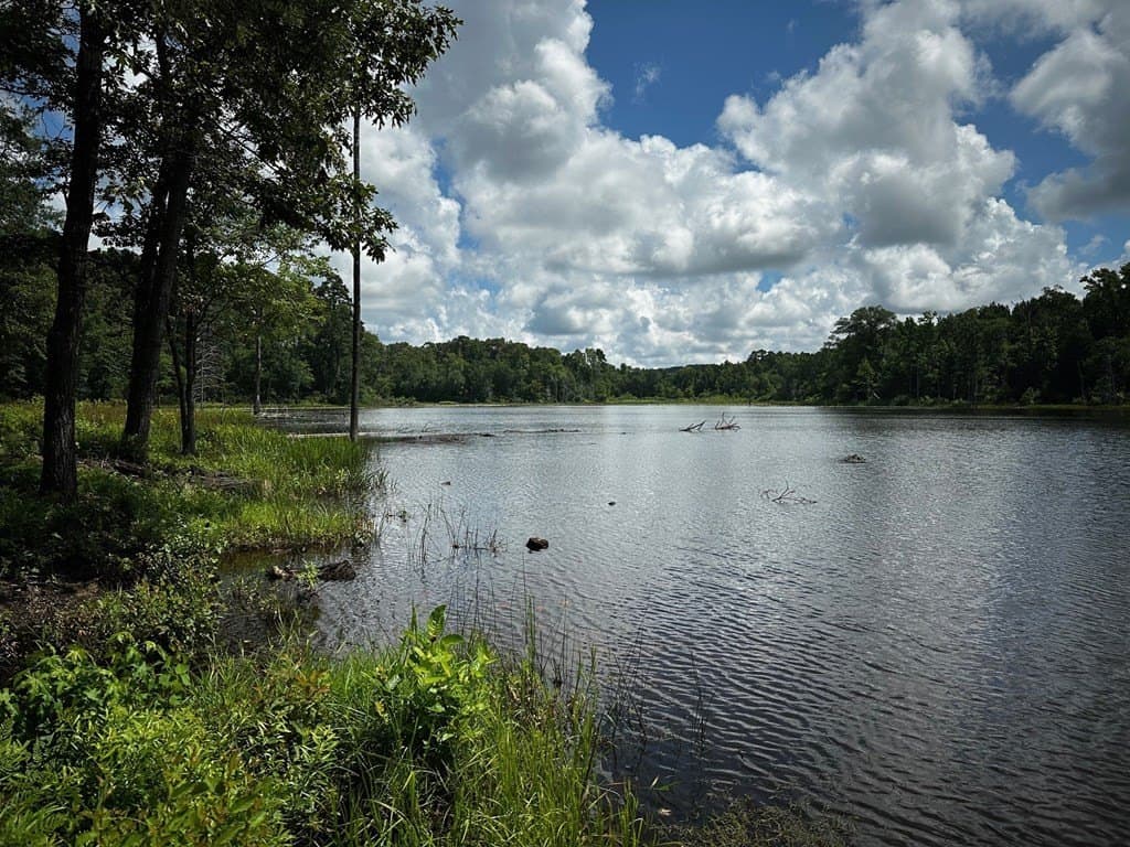 141.71 acres in ANDERSON County - photo 7