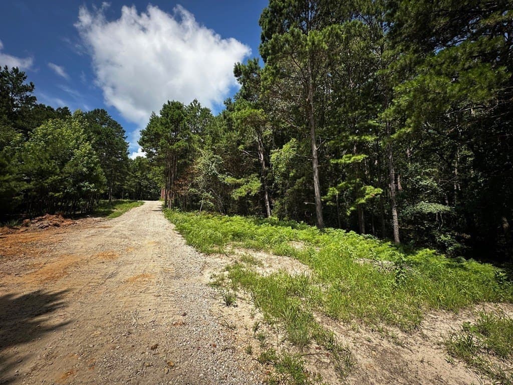 141.71 acres in ANDERSON County - photo 24